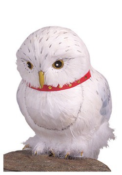 Accesorio de Hedwig