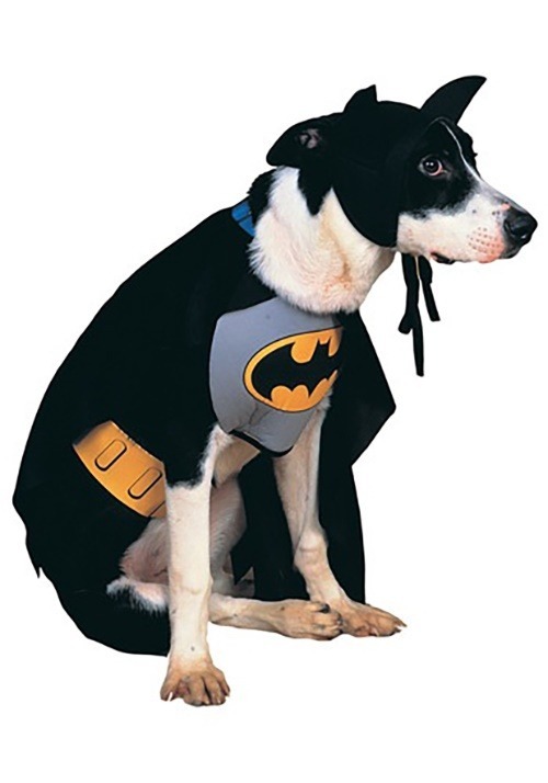 Disfraz para mascota de Batman clásico