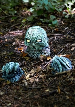 Calavera en mandíbula