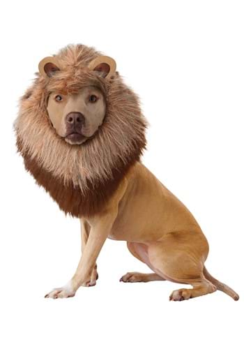 Disfraz de león para mascota