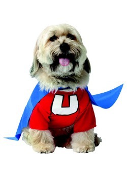Disfraz de perro Underdog