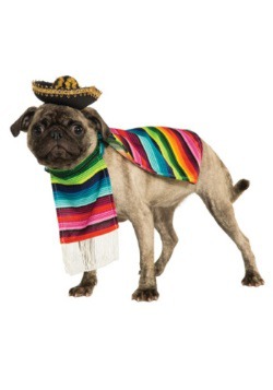 Disfraz de mascota con zarape mexicano