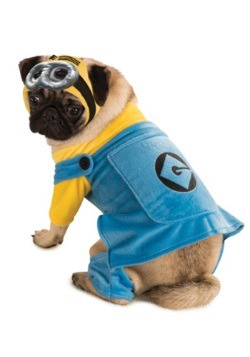 Disfraz de mascota de minion