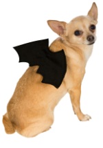 Disfraz para mascota de alas de murciélago