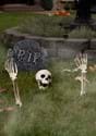 Kit de esqueleto de Buried Alive de 3 piezas
