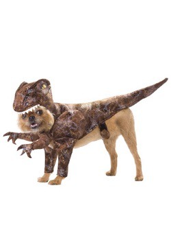 Disfraz de Raptor para mascotas