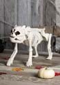 Perro esqueleto de Bones the Hungry Hound