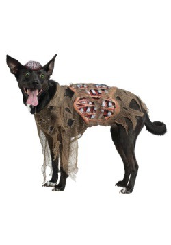 Disfraz de perro zombi
