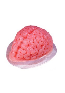 Molde de cerebro de gelatina