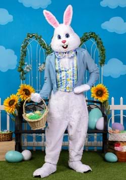 Disfraz de conejito de Pascua deluxe para adulto