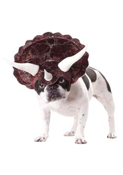 Disfraces para mascotas - Disfraz de Halloween para gato, perro, mascota Disfraces para mascotas - Disfraz de Halloween para gato, perro, mascota