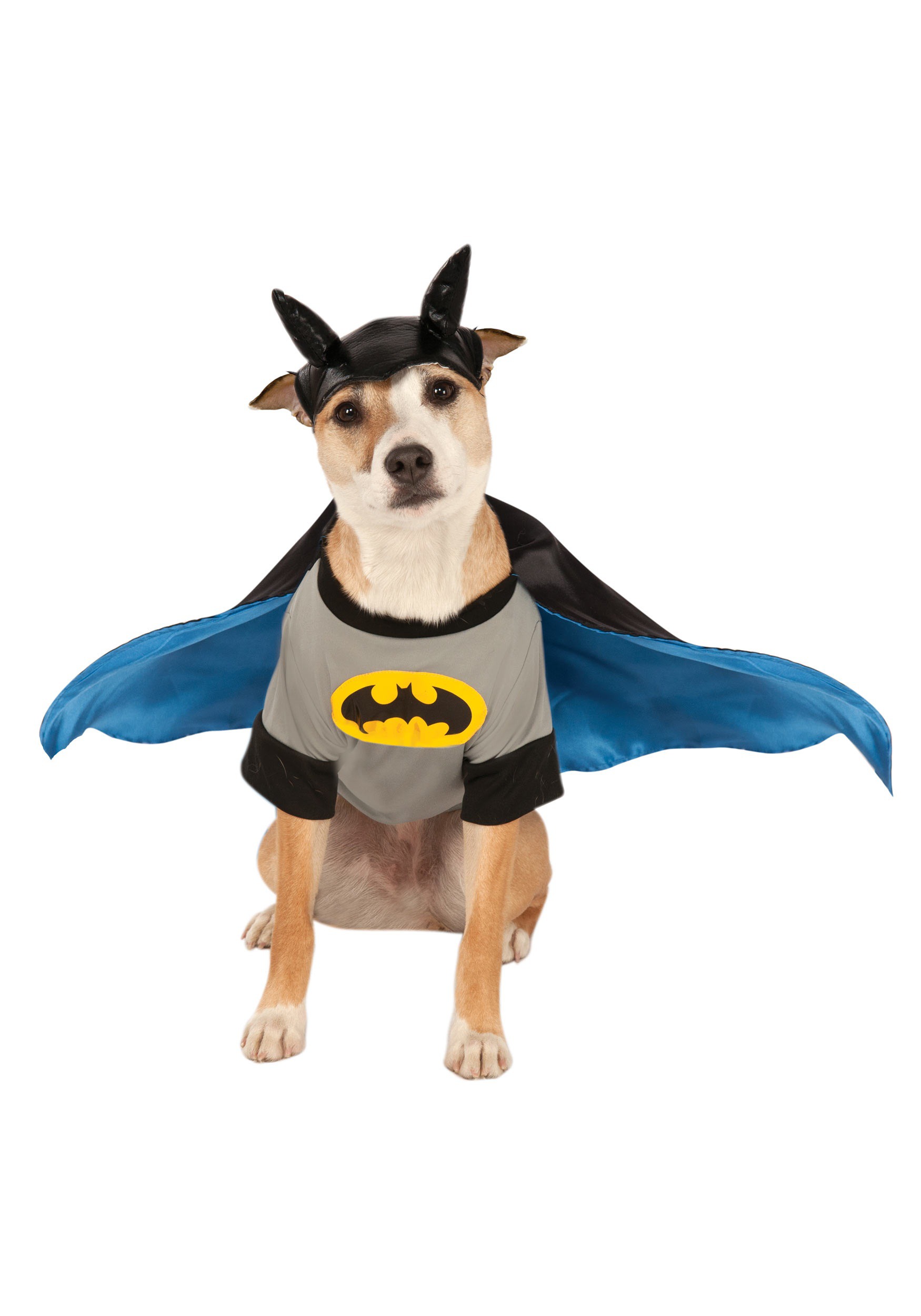 Referéndum Abrasivo lantano Disfraz de Batman para mascota