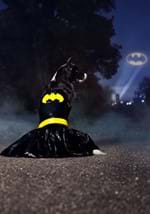 Batgirl Pet Costume Alt 1