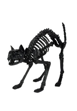 Esqueleto de gato negro de utilería