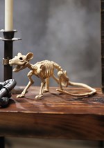 Mini rata esqueleto Update