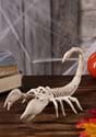 Mini escorpión esqueleto