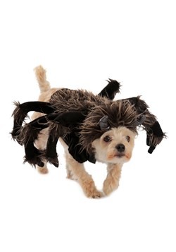 Disfraz para perro de tarantula