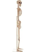 Metal Stand for Lifesize Skeletons Alt 2