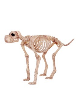 Bruiser Bonez, el perro esqueleto