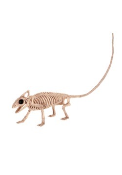 Lagarto de esqueleto