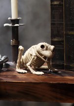 Skeleton Frog Alt 1