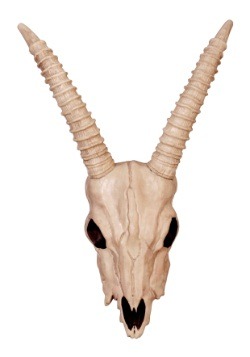 Calavera de gacela