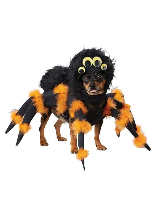 Disfraz de araña para cachorro