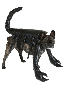 Disfraz de perro escorpión