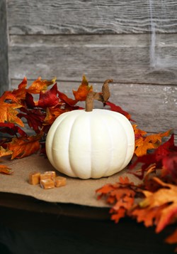Cream Pumpkin 6''x9 ''
