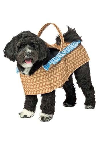 Disfraz de perro en la cesta