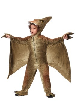 Traje de pterodáctilo del niño