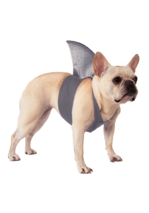 Disfraz de aleta de tiburón mascota