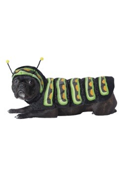 Disfraz de Caterpillar para perro