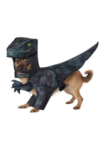Estrecho Arreglo alivio Disfraz de perro Pupasaurus Rex