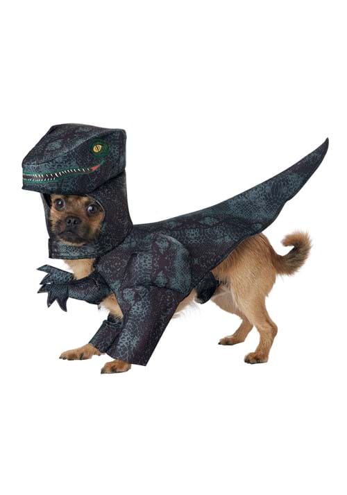 Disfraz de perro Pupasaurus Rex