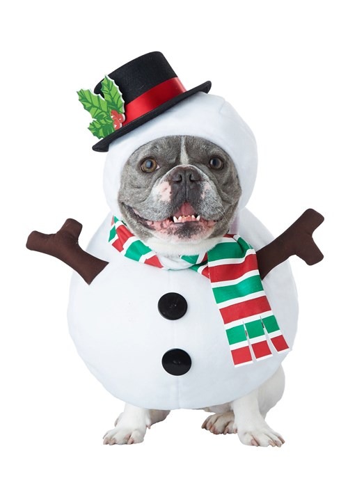 Disfraz de muñeco de nieve para perro