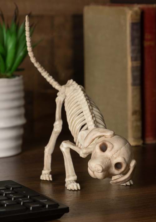 7.5 "Puppy Skeleton
