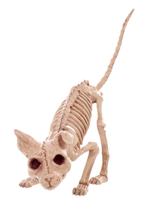 7.5 "Kitty Skeleton