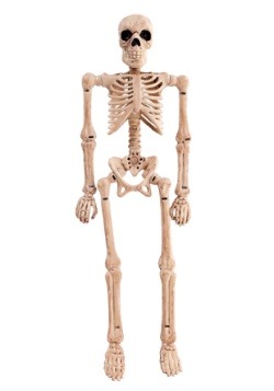 Esqueleto plegable de 8"