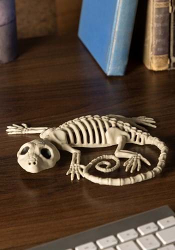 Decoración de esqueleto de Gecko de 7 "