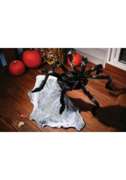 36 '' Giant Jumping Spider