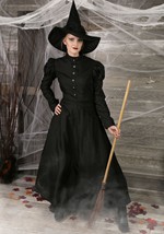 Women's Witch Deluxe Costume Alt 16