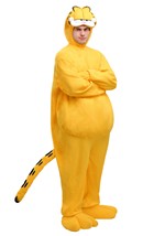 Garfield Alt 5