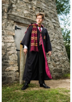 Disfraz de Harry Potter deluxe para adulto